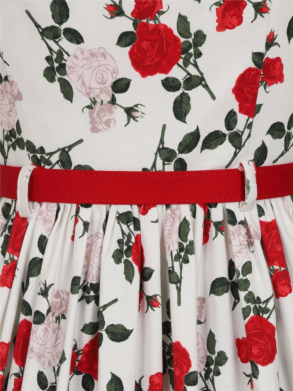 Jemima Rose Dance Swing Dress by Collectif