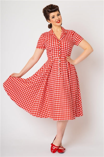 Caterina Gingham Swing Dress by Collectif