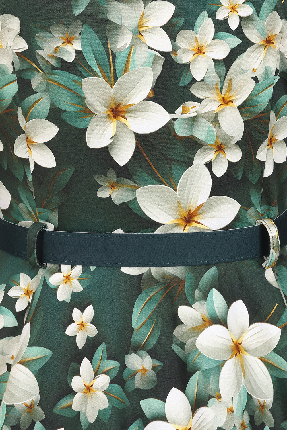 Skye Fit and Flare Dress by Hearts and Roses