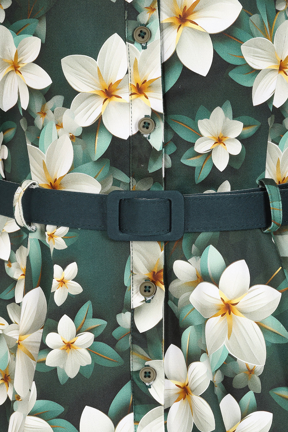 Skye Fit and Flare Dress by Hearts and Roses