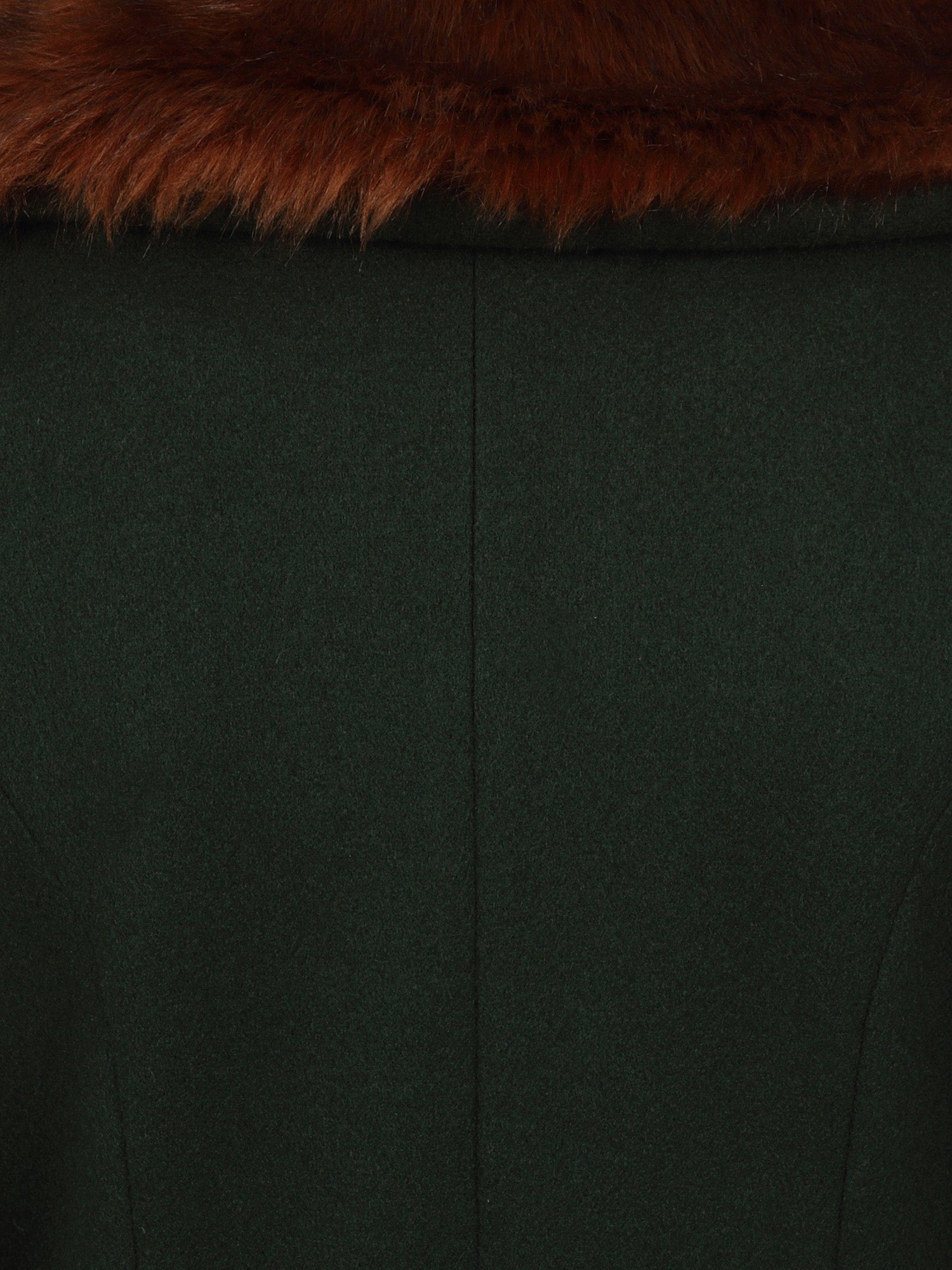close up of dark green Annasofia coat with the faux fur trim at the collar